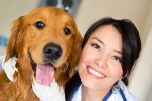veterinary-practice-pets