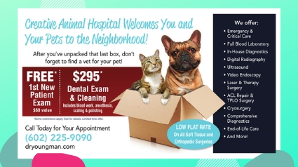 3 Ways To Increase Your Veterinary Business with SmartPractice Mailing Services