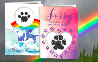 Forever Paws Sympathy Cards